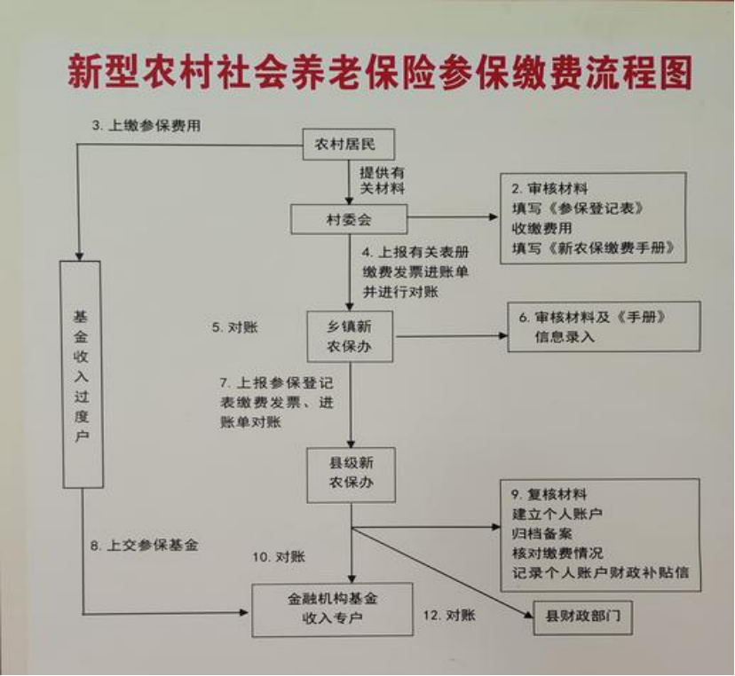 钦州农村医保和社保有什么区别(农村医保跟社保的区别)